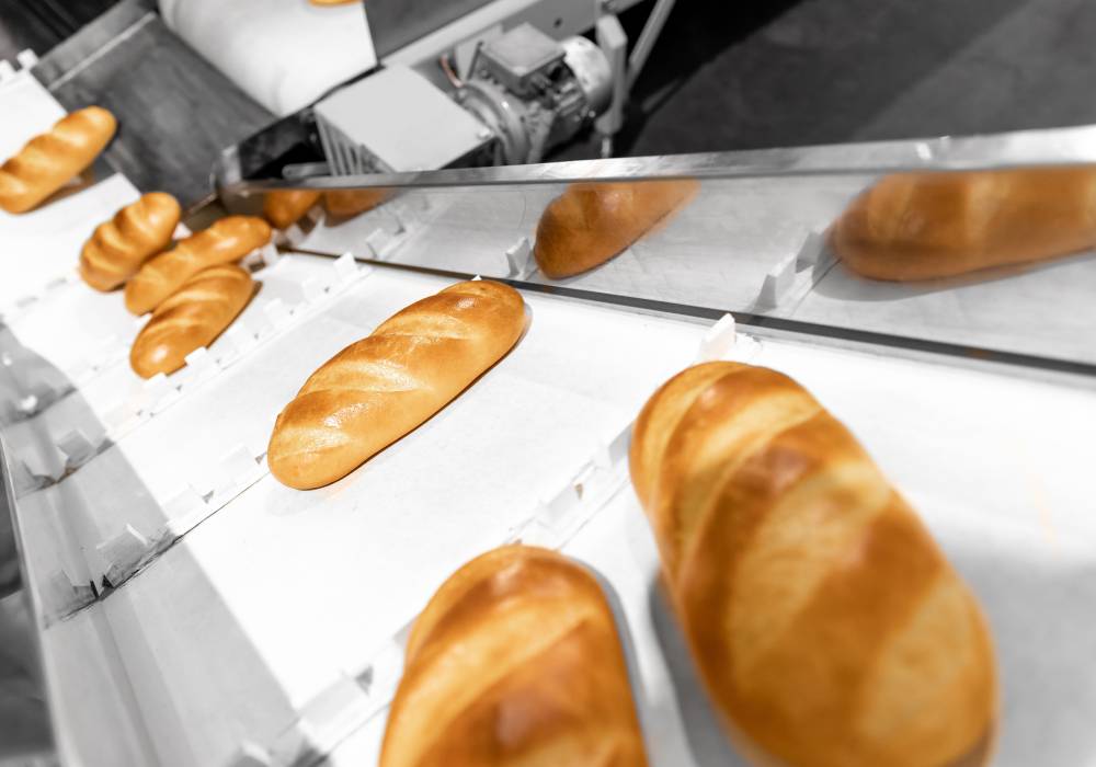 bread loaves moving on conveyor belt