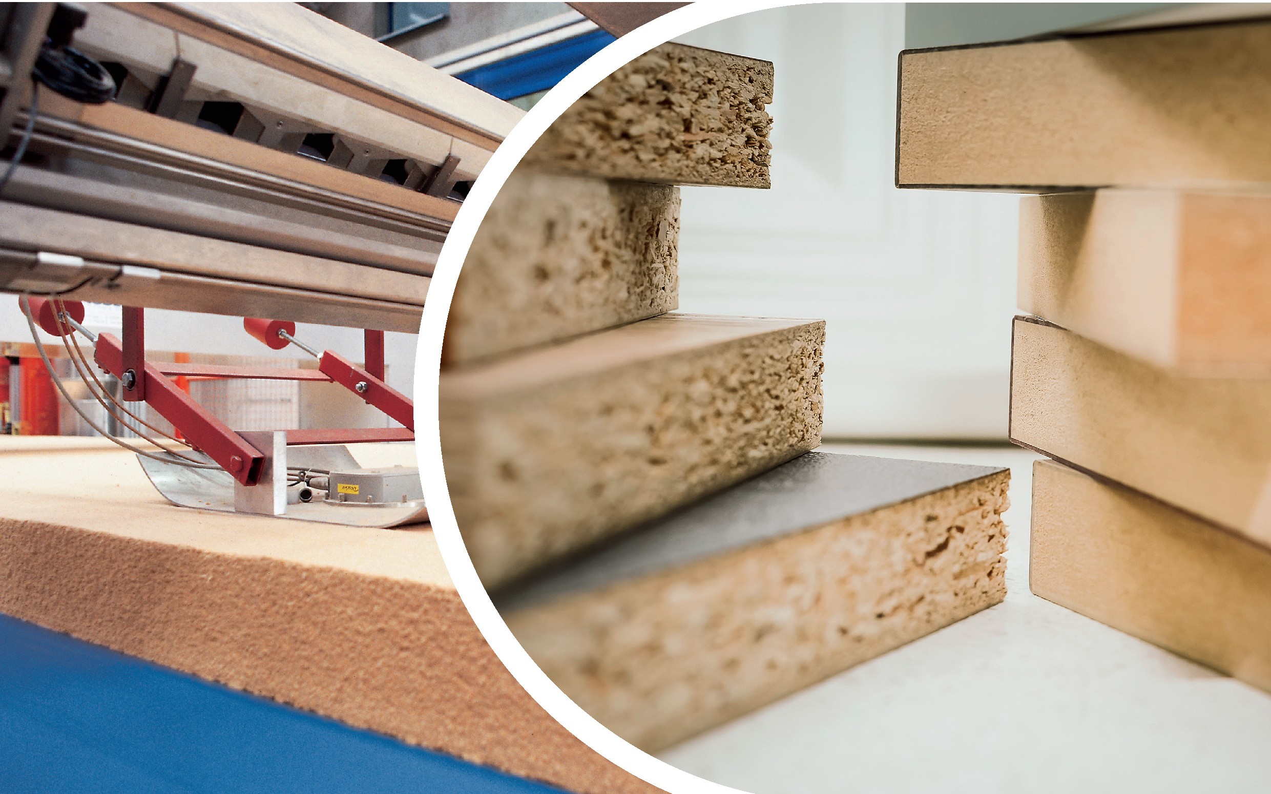 Wood-based panel forming line and final product picture